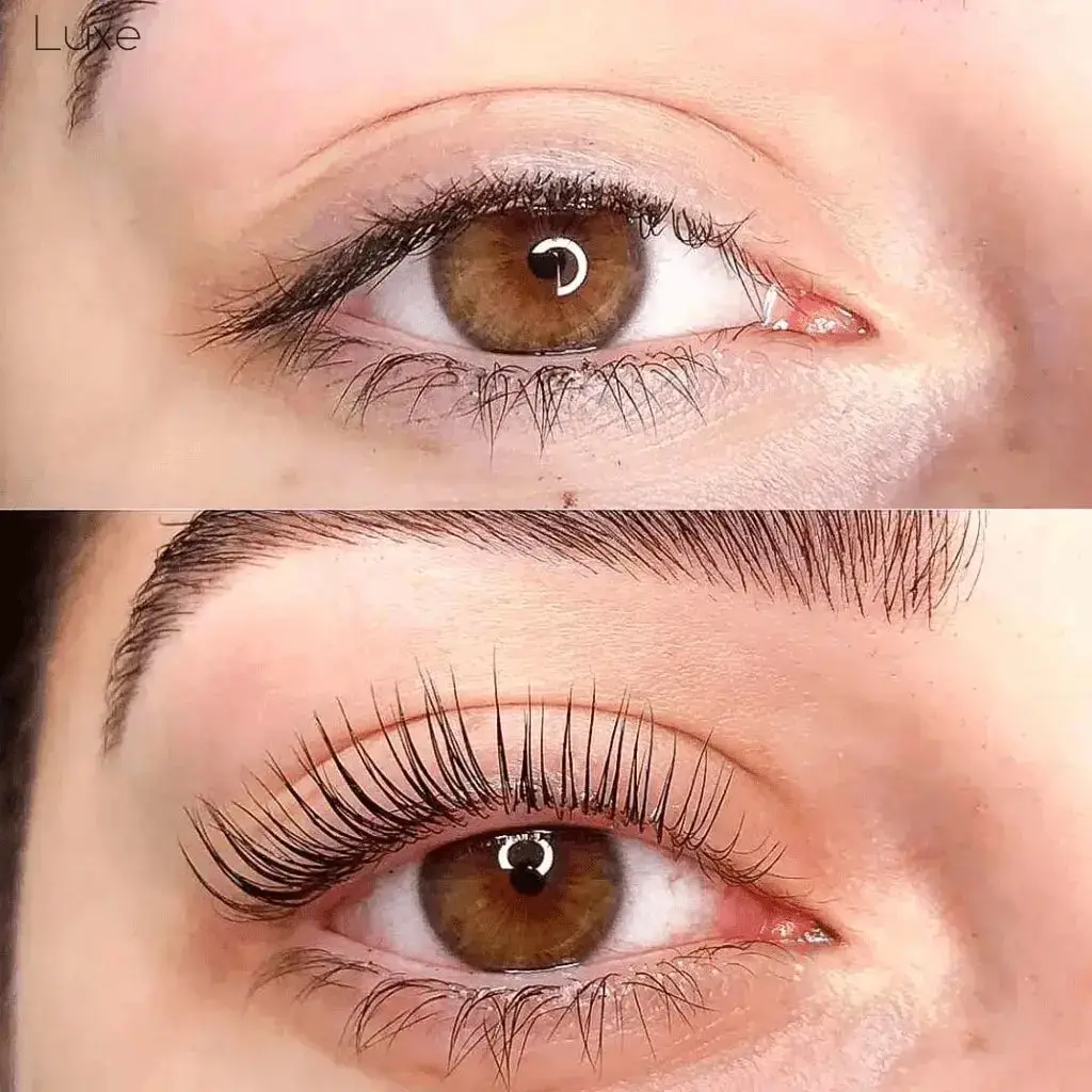 Luxe Eyelash Lifting Kit - Image 2